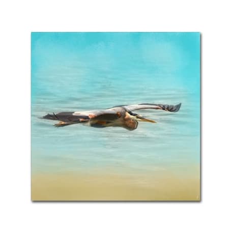 Jai Johnson 'Arrival Of The Blue Heron' Canvas Art,18x18
